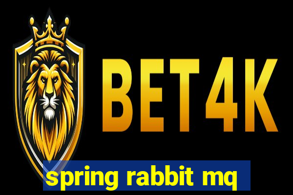 spring rabbit mq